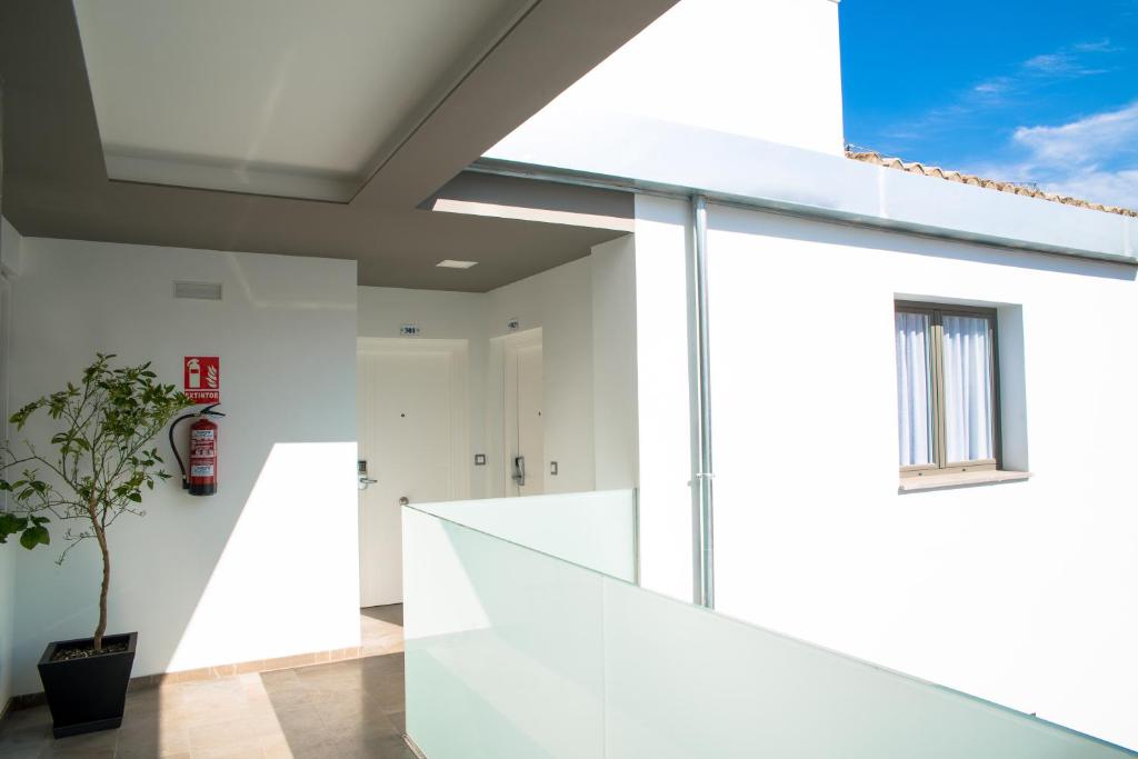 Apartamentos Campo Del Príncipe 3