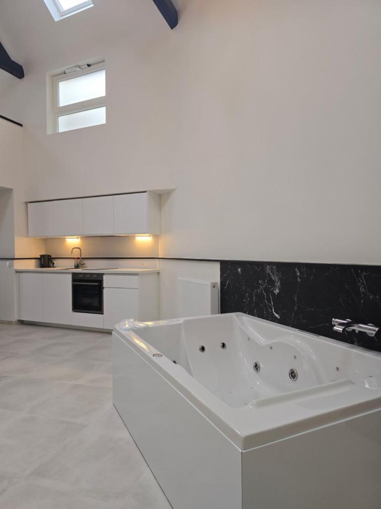 Aqua Loft Suite exécutive & élégante Quartier Européen Bruxelles 3