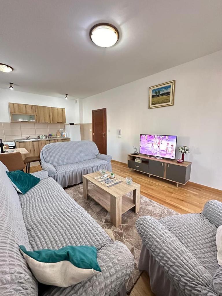 Roomy Lux Apartmant 5