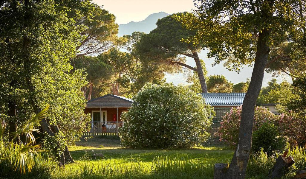 une maison au milieu d'une cour arborée dans l'établissement Camping Domaine d'Anghione, à Castellare-di-Casinca