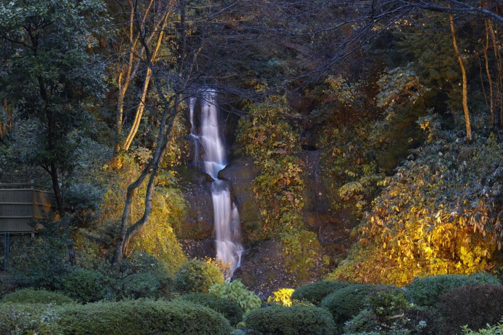une cascade au milieu d'une forêt la nuit dans l'établissement TAKITEI Riverside Onsen ーA Hidden Ryokan in Kanazawaー, à Kanazawa