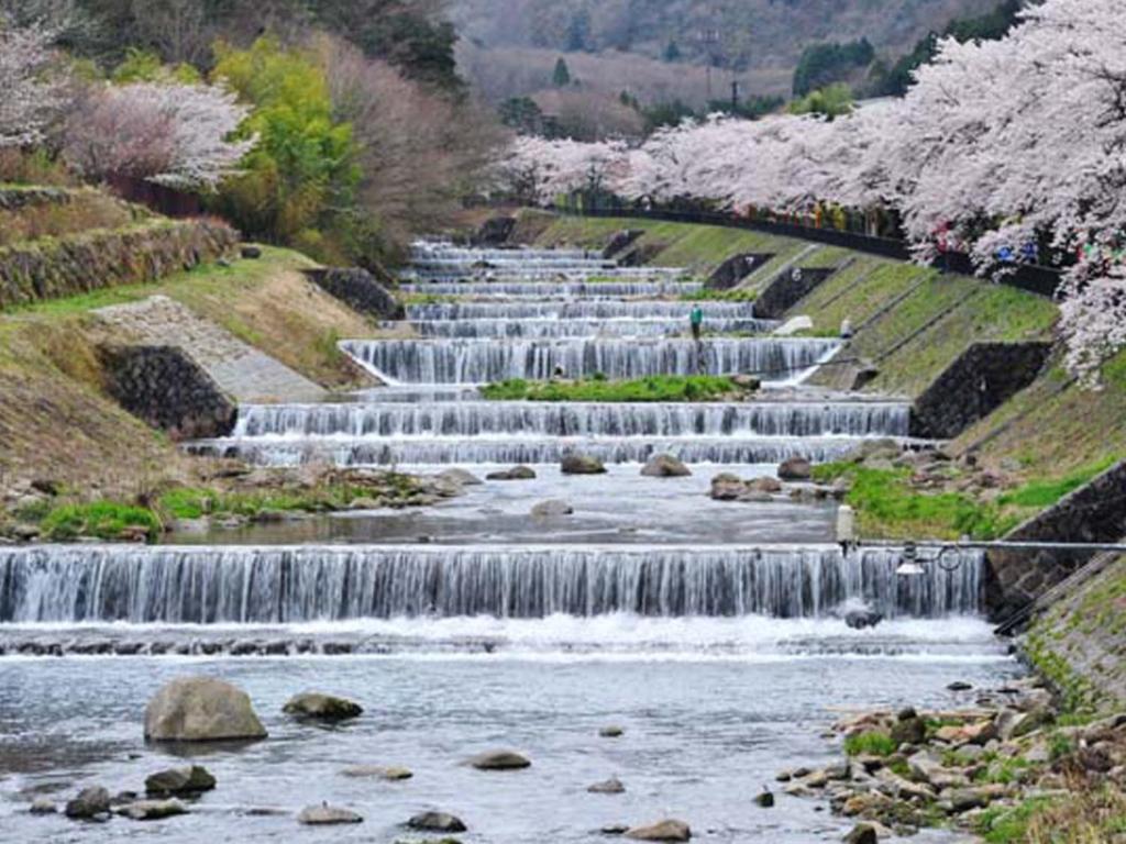un groupe de cascades dans une rivière arborée dans l'établissement Hotel Morinokaze Hakone Sengokuhara, à Hakone 37 autres photos