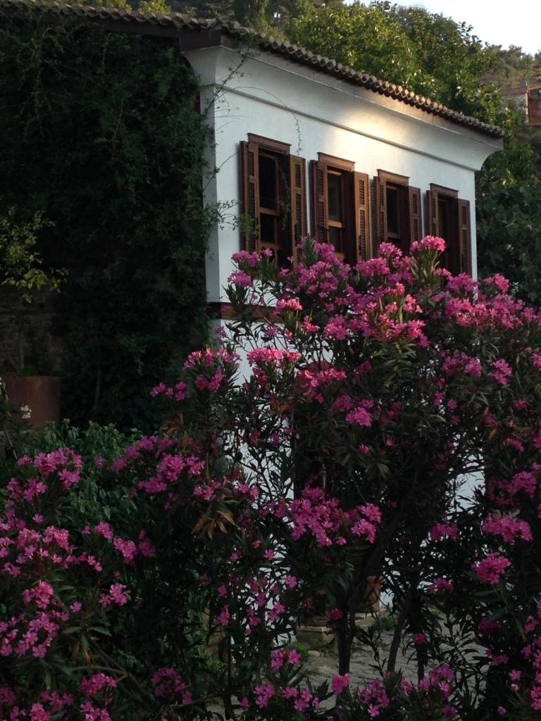 Terrace Houses Sirince 6