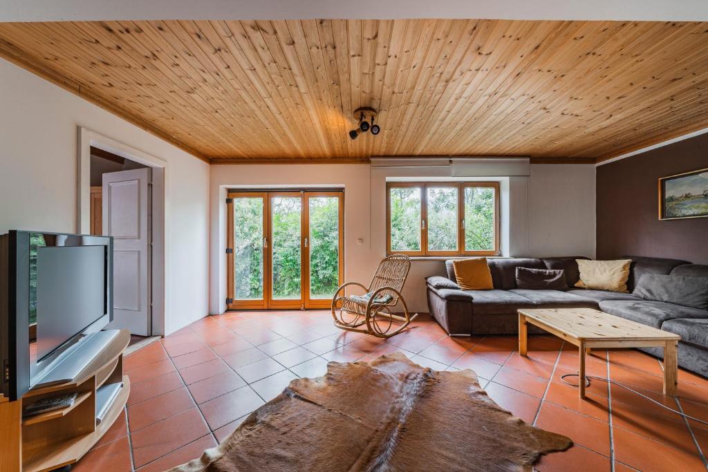 Dachstein Chalet - Mountain view 5
