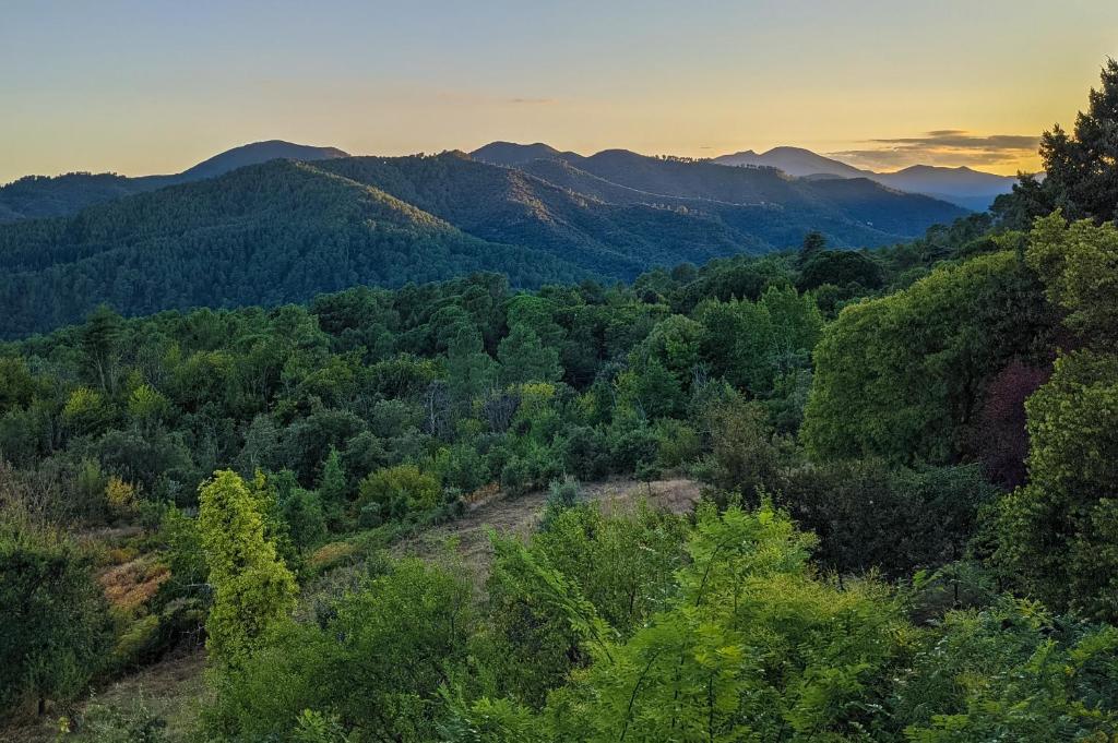 Vue aérienne d'une forêt avec des montagnes en arrière-plan dans l'établissement Bivouac nature, Tentes Lodges dans les Cévennes, à Saint-Jean-du-Gard