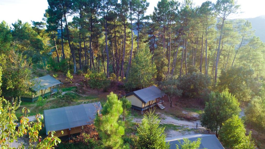 une vue aérienne sur une forêt arborée dans l'établissement Bivouac nature, Tentes Lodges dans les Cévennes, à Saint-Jean-du-Gard