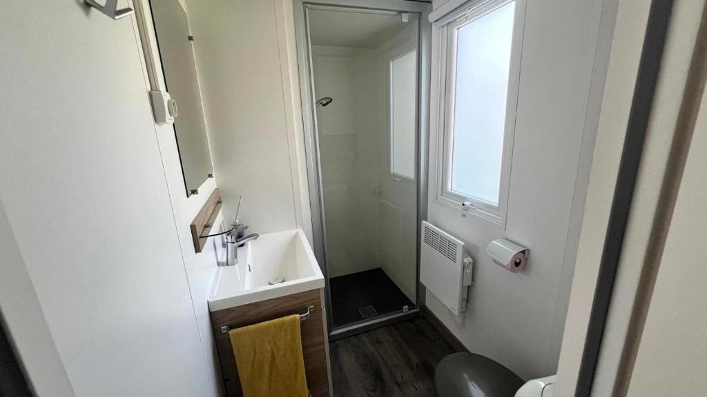 une petite salle de bain avec un lavabo et un miroir dans l'établissement Détente et nature au bord du Rhône, à Condrieu