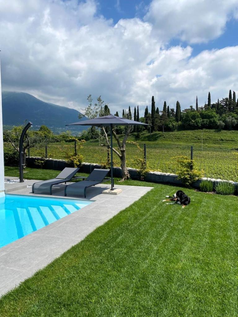 un chien pondant dans l'herbe à côté d'une piscine dans l'établissement Villa LagoBlu, à Costermano