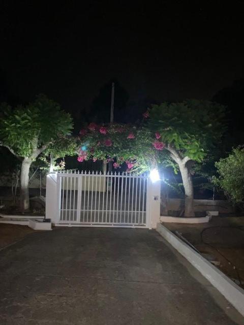 Villa Célia Alzira 2