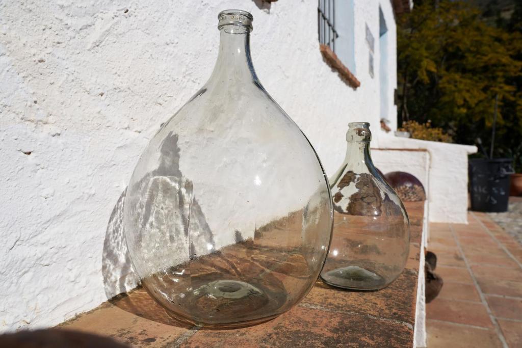 Cortijo Lagar de Luisa 8