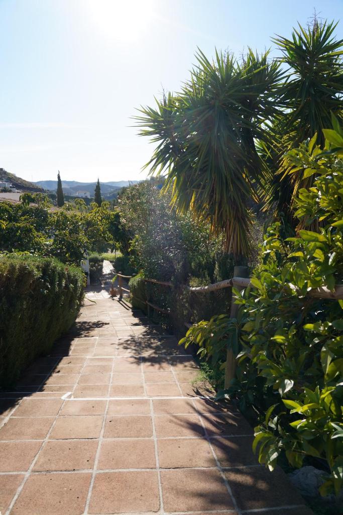 Cortijo Lagar de Luisa 3