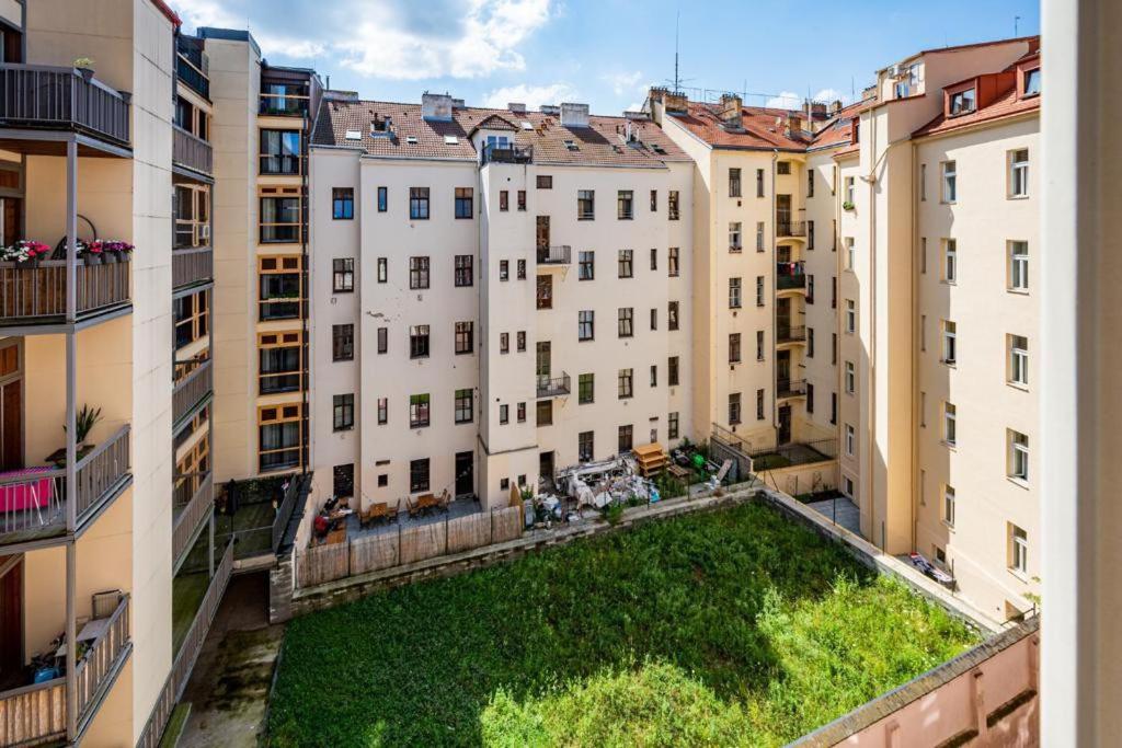 Great apartment in the hype neighborhood 3