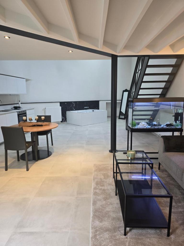 Aqua Loft Suite exécutive & élégante Quartier Européen Bruxelles 4