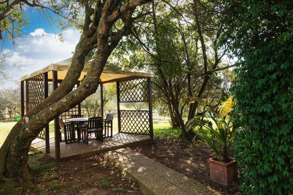 - un kiosque avec une table et des chaises sous un arbre dans l'établissement Villa immersed in green Isola dei Cavalli, à Quadroni