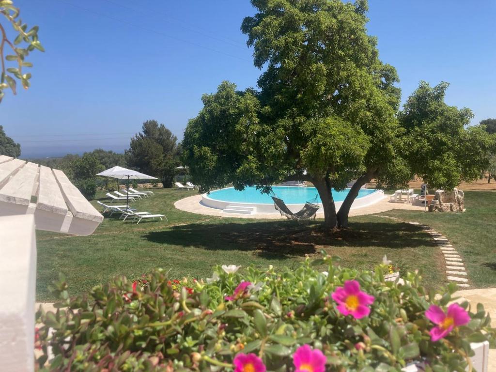 un jardin avec un arbre et une piscine dans l'établissement Villa Clive Relax & Sun, à Ostuni