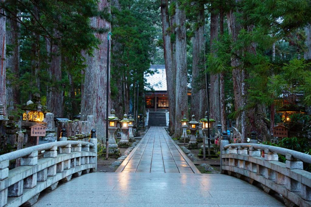 un pont dans une forêt avec des arbres et des lumières dans l'établissement Sanso Amanosato, à Katsuragi
