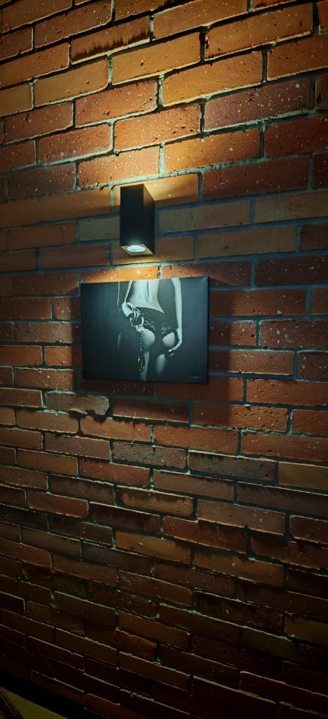 Secret Room BDSM 8