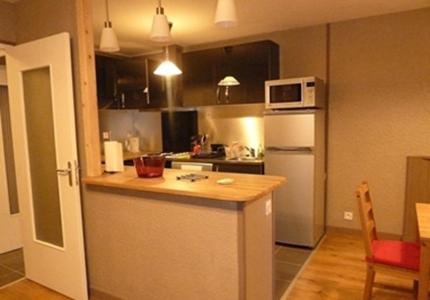 Il comprend une cuisine équipée d'un comptoir et d'un réfrigérateur blanc. dans l'établissement 2 Alpes Les Bleuets, à Les Deux Alpes