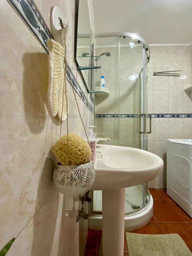 Teresa Home 8