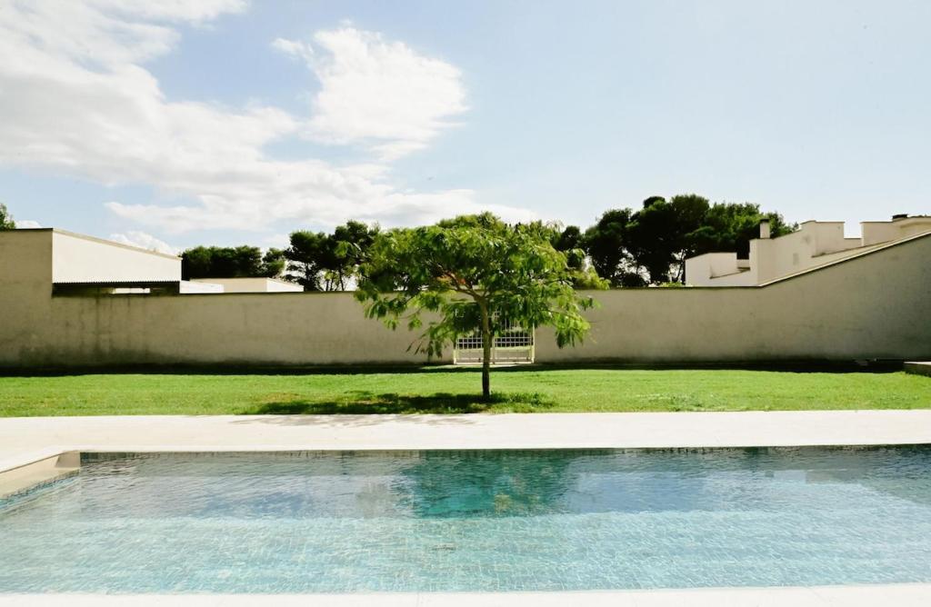 une piscine en face d'un mur avec un arbre dans l'établissement Masseria Sant'Andrea, à SantʼAndrea