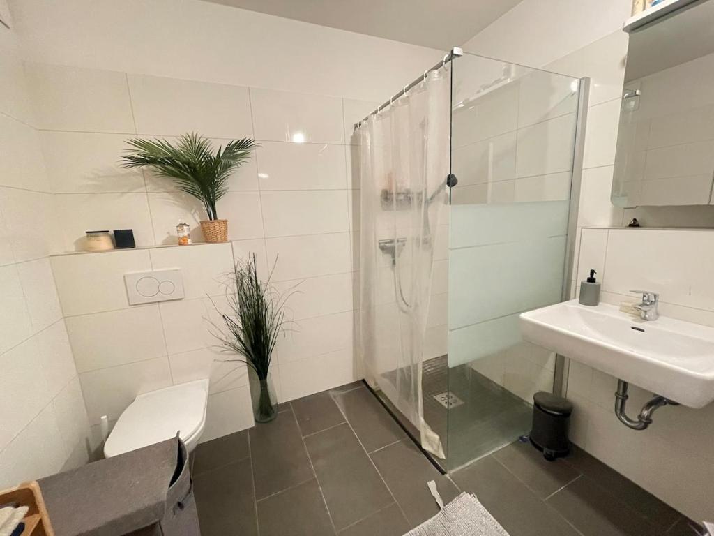 Modern bright apartment 3