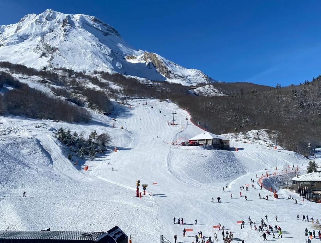 un groupe de personnes skier sur une montagne enneigée dans l'établissement Le Skidoux 2*, au pied des pistes, vue montagne, à Gourette