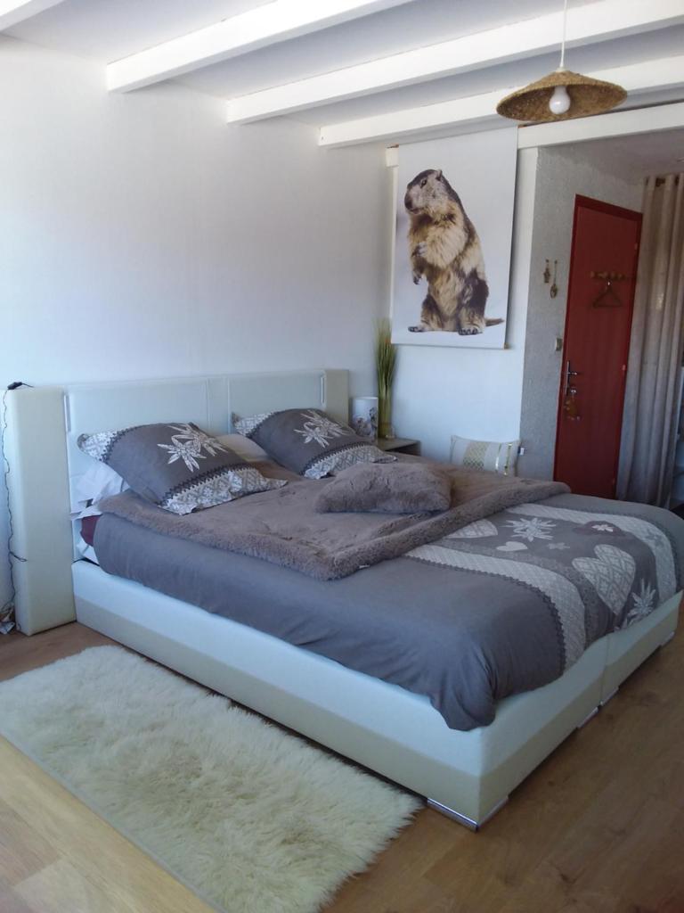 Photo de la galerie de l'établissement la marmotte du chalet numéro 2, à Laye