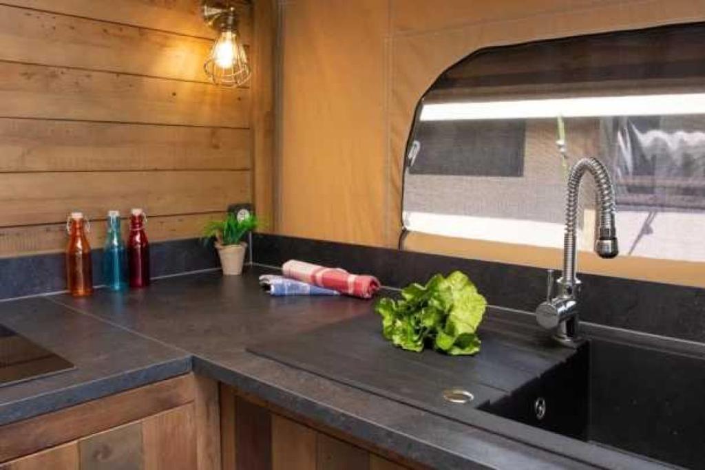 d'un comptoir de cuisine avec un évier et un canapé. dans l'établissement Camping 3 étoiles - Piscine - eeebcb, à Roquebrune-sur Argens