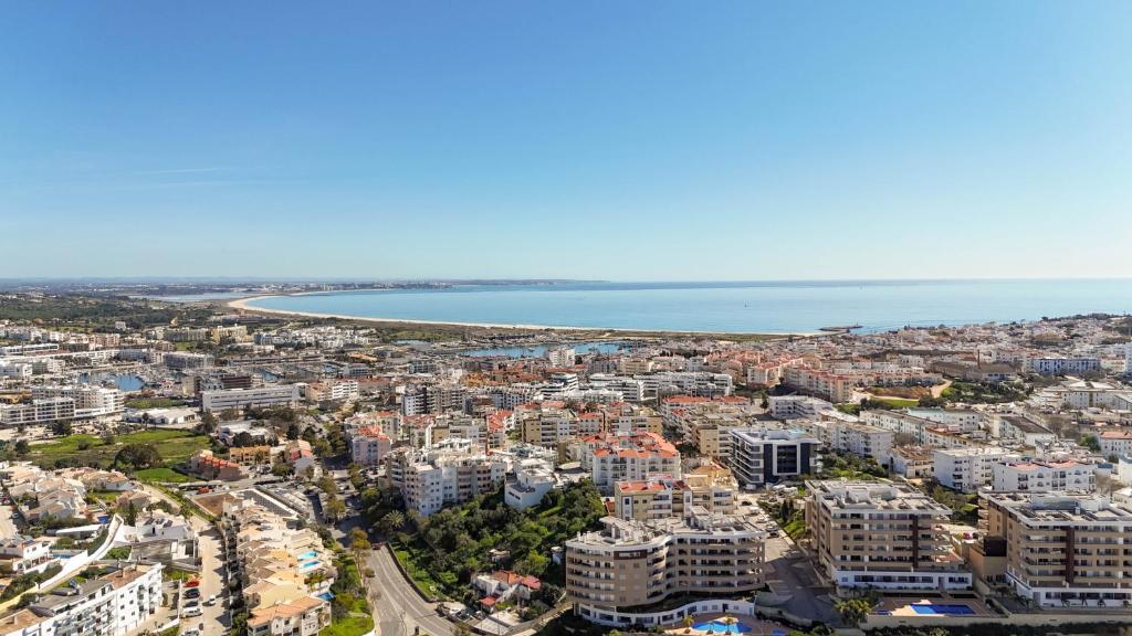 Spacious Apartment with Huge Terrace and Swimming Pool 6