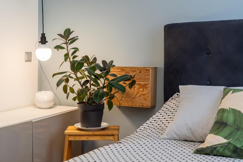 Baltic Design Apartments with free Parking and self check in 3