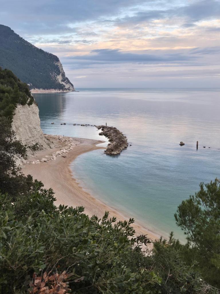 Fiori del Conero 8