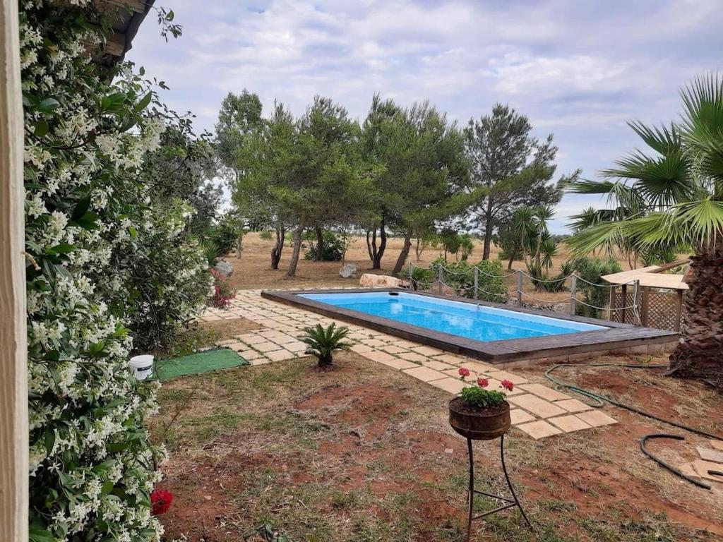 - une piscine dans une cour arborée dans l'établissement Villa Rosa, à Alessano 3 autres photos