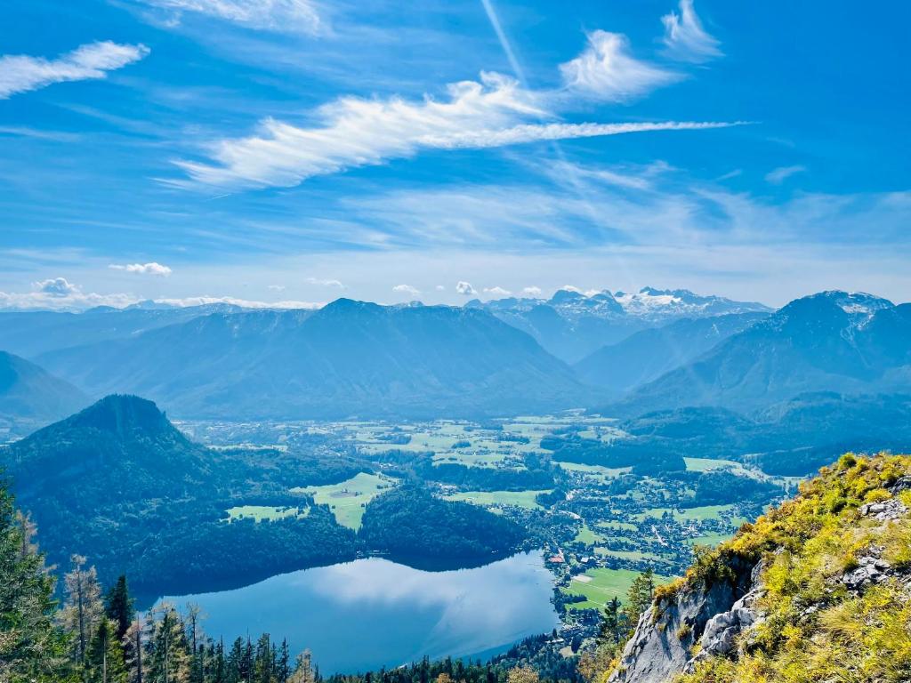 Ausseer Hoiznest 4
