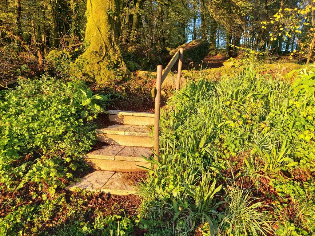 un escalier dans un jardin avec un arbre dans l'établissement 'Glamping' tents one of three to rent fully equipped private equipped kitchen tents too, à Saint-Michel-de-Montjoie