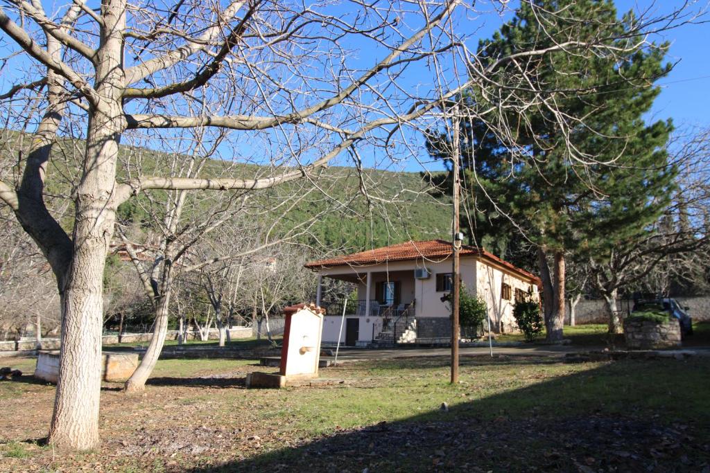 Raise Polydrosos Family Lodge 1