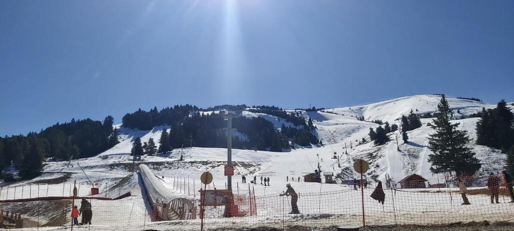 une montagne enneigée avec des personnes sur une piste de ski dans l'établissement Idéal pour les vacances, à Selonnet 6 autres photos