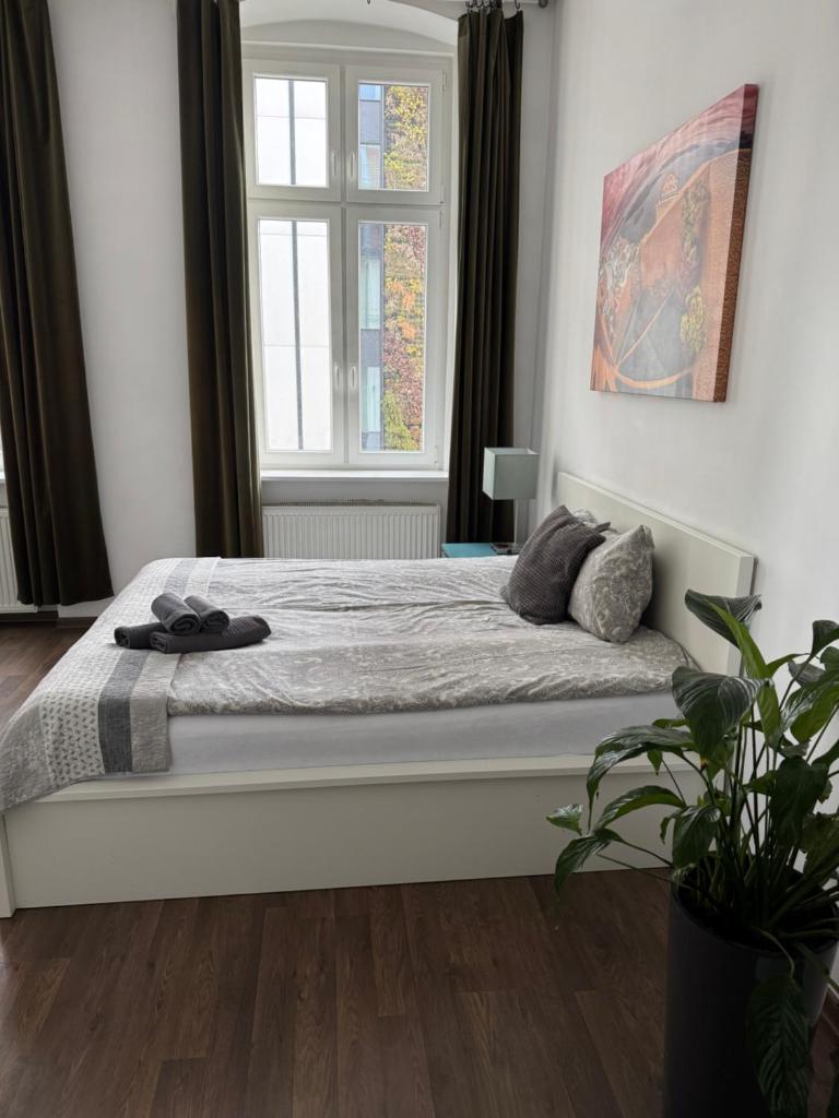 Apartamenty Młyńska15 self check-in 24h 5