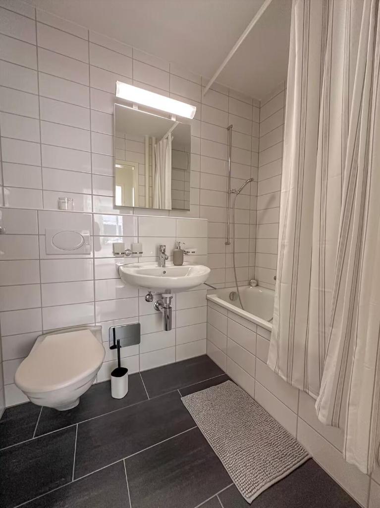 Central Studio Apartment with free BaselCard - Dali 5