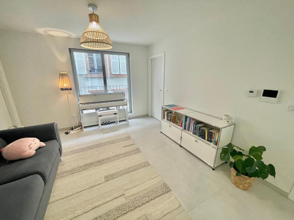 Logement neuf entier Petite France 5