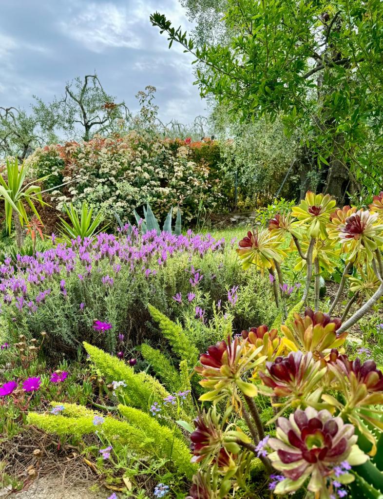 un jardin rempli de fleurs colorées dans l'établissement Villa del 1700 immersa nel verde, Poggio al Sole Vieste, à Vieste