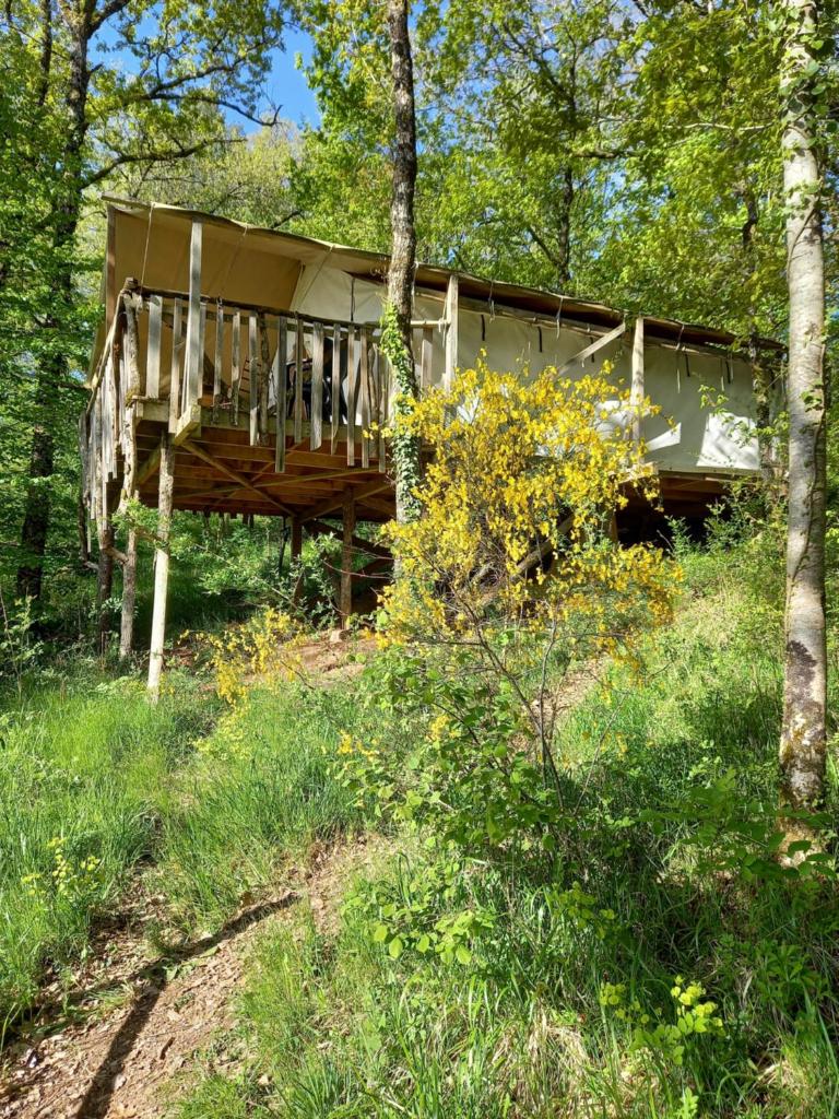 une maison avec une terrasse dans les bois dans l'établissement Camping Terre Rouge, à Villecomtal
