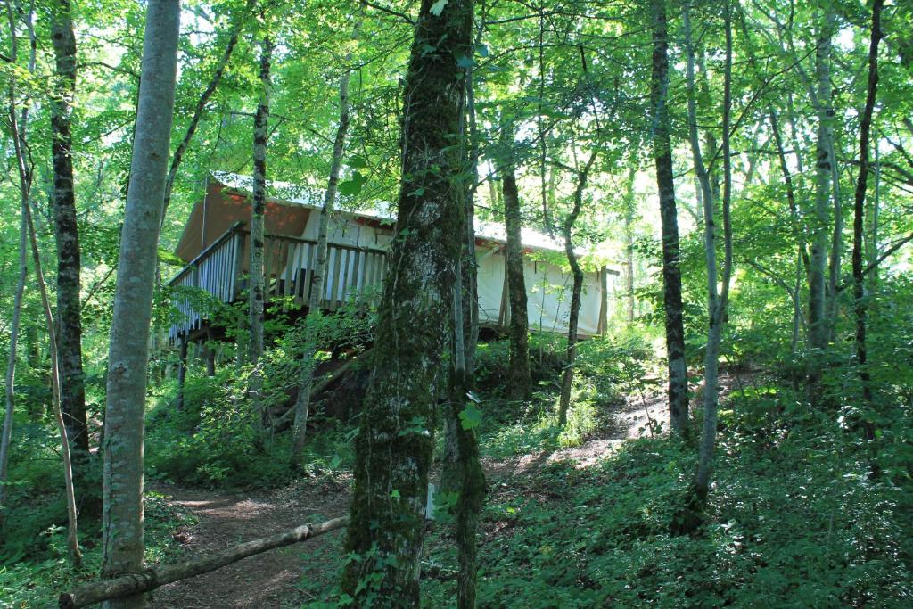 une maison au milieu des bois dans l'établissement Camping Terre Rouge, à Villecomtal 12 autres photos