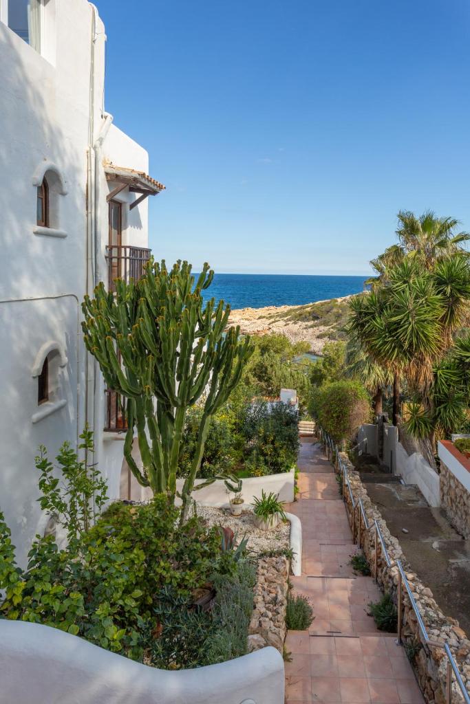 Apartmentos Nort 6