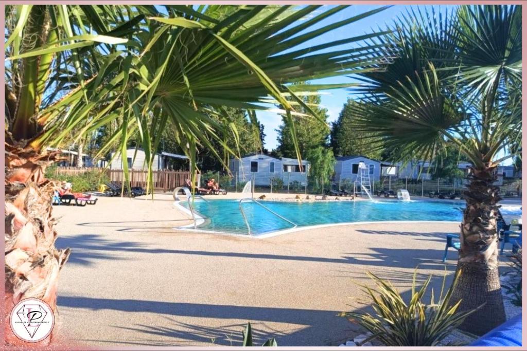 une grande piscine bordée d'un palmier dans l'établissement Les Sables du Midi, Agréable Mobilhome 6 personnes Valras Plage, à Valras-Plage