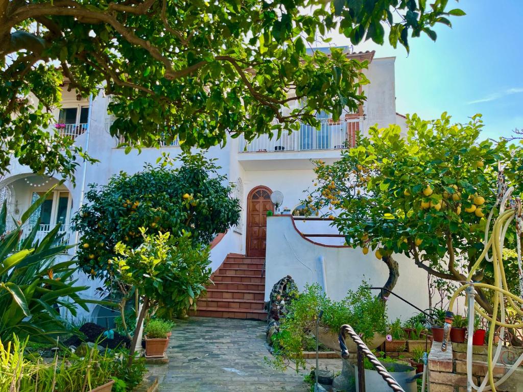 Villa Elke 6