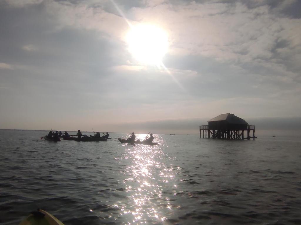 un groupe de personnes à bord de bateaux avec une jetée dans l'établissement lesmobilhomesduferret - camping Les Embruns - mobil-homes de particuliers, funpass activités non inclus, à Lège-Cap-Ferret