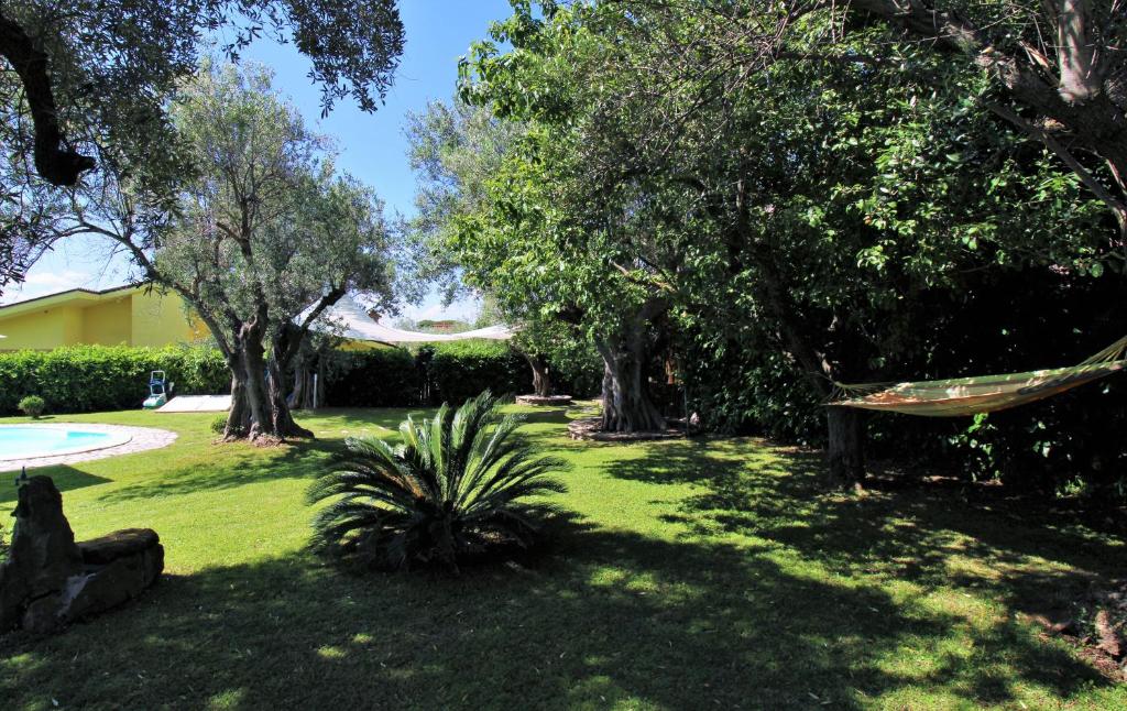 - un hamac dans une cour avec des arbres et une piscine dans l'établissement Villa di Lago Albano - Castel Gandolfo, à Albano Laziale