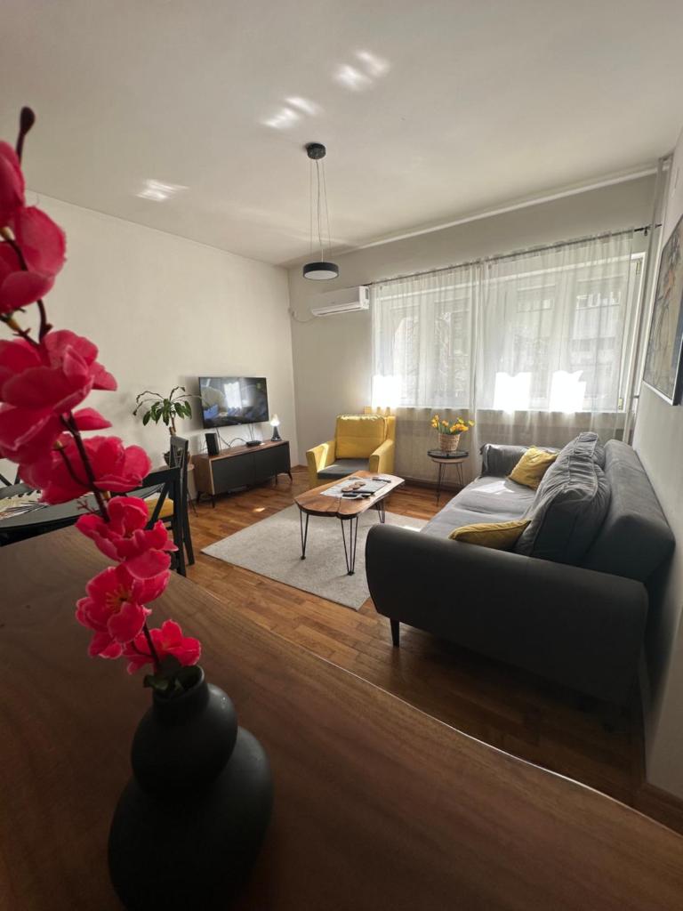 Ira's Square 2 Bedroom Apartment Free Parking 4