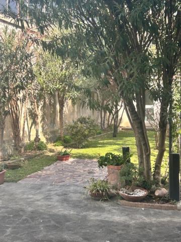 un jardin avec des arbres et des plantes dans un parc dans l'établissement Hotel VILLA PINA, à Senigallia