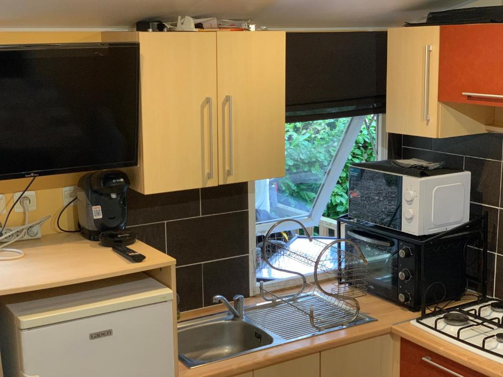 une cuisine avec un évier et un micro-ondes dans l'établissement Les mobil homes d’oliver rob, à Saint-Chéron